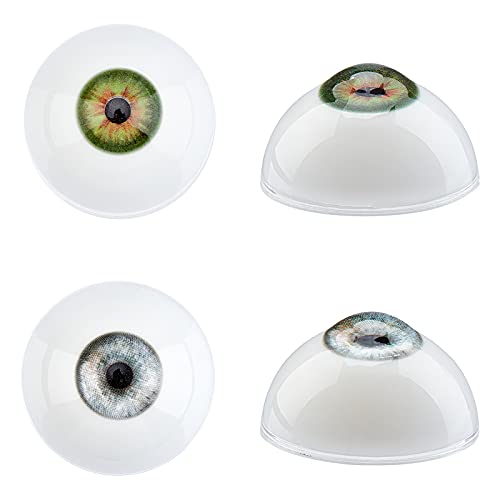 PandaHall 2 Paires 32mm Yeux Humains réalistes Grands Globes oculaires Creux en Acrylique Poupée Ours Yeux pour Le décor de fête d'halloween Poupées Sculptures Accessoires Marionnettes Cover
