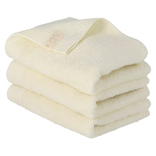 co^I tFCX^I 3Zbg ӂ B { 100 p z RR n 45Nn V܃^I[J[ 34×80cm 106g (340) nj[