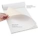 Paramount Universal Primed Premium Cotton Canvas Pads - White - 6
