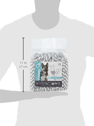 View 3