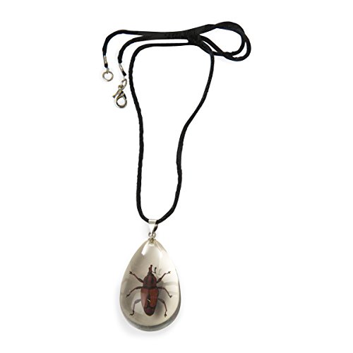 Image of SD102 Weevils Pendant