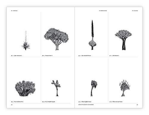 Princeton Architectural Press 52904540 The Architecture Of Trees thumb #15