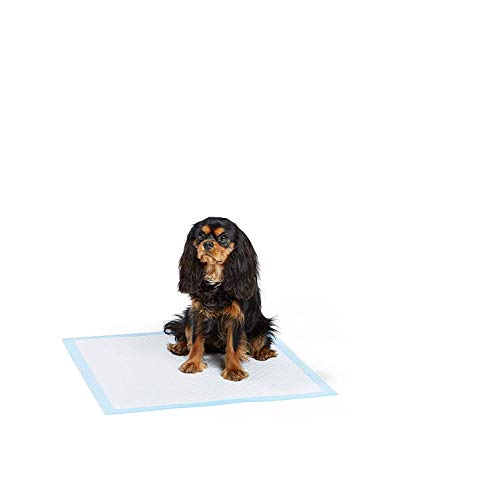 Ossian Pack of 30 Puppy Training Pads – Super Absorbent Quick Dry Urine Pee Poo Poop Waste Wee Surface with Leakproof Design and Plastic Lining For Small Dogs Protect Flooring and Carpets - Image 6