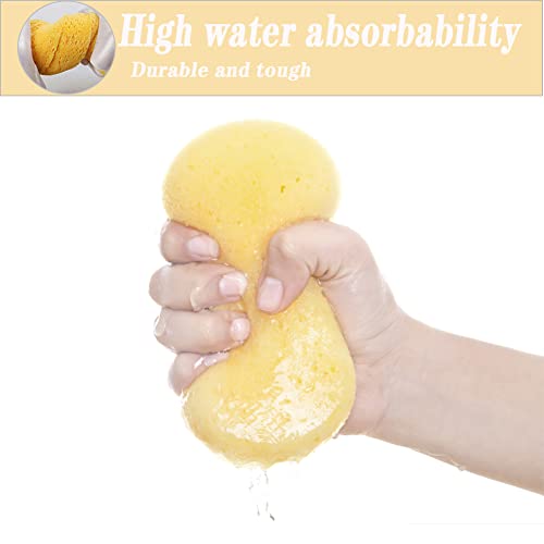 Rencantur Spugna per Autolavaggio Confezione,5