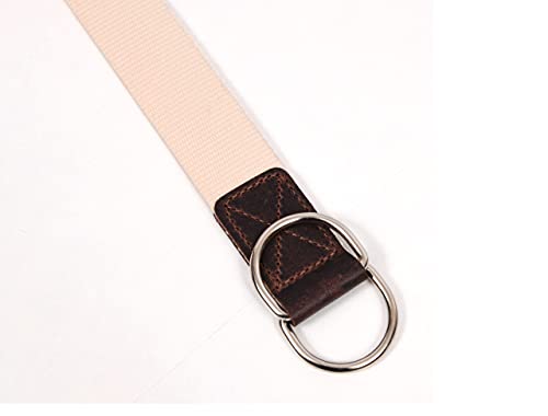 Aaron Leather Goods Canvas Belt with D-ring for men & women 1 or 3 pcs Black Brown Green4