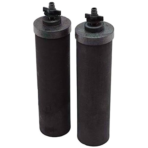 Berkey Authentic Black Berkey Purification Elements - Berkey Water Purifier Replacement Filters (Pack of 2)