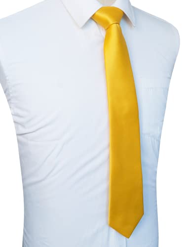 Image of JEMYGINS Solid Color Tie Mens Necktie for Business and Wedding