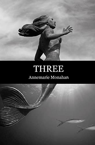 Three (Flashpoint Press) view 2