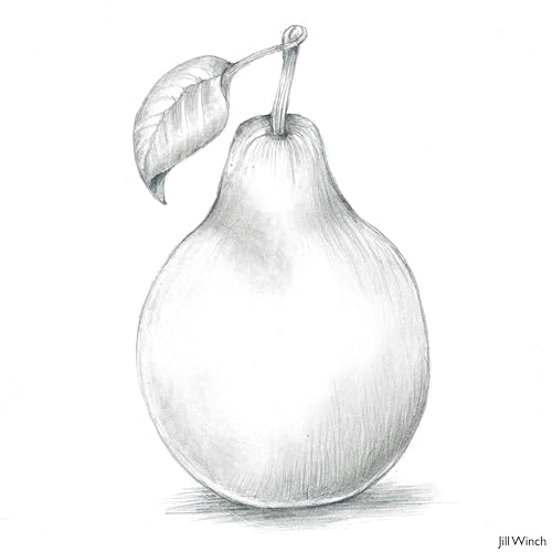 Derwent Graphic Hard Graphite Drawing Pencils, Drawing & Writing, Ideal For Sketching, Professional Quality - 34213 (Set of 12, B-9H)