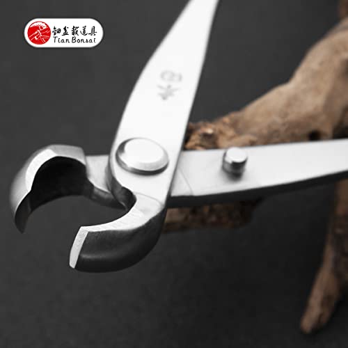 Tianbonsai Bonsai Knob Cutter Round Edge Cutter Professional Grade Branch Cutter Alloy Steel Bonsai Tools Equip With Tool Bag thumb #7