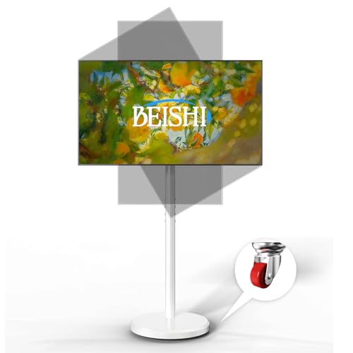 BEISHI Small Mobile TV Stand for Most 10-48 Inches TV,Rolling