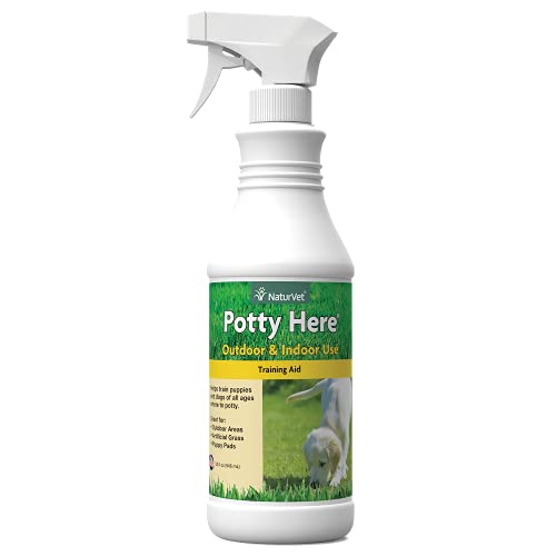 Top 13 Best Potty Training Spray For Dogs of 2023