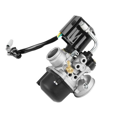 DOCAS 17.5mm Vergaser, Ersatzvergaser mit 17.5mm Durchlass mit E-Choke für Scooters de 50cc Piaggio Gilera(Stil 1)