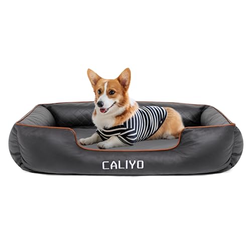 CALIYO Orthopädisches Hundebett Kleine Hunde – Hundekissen aus Kunstleder, Wasserdicht & Waschbar, Memory Foam Hundesofa mit 4 Rändern, Hundematte 85×63×20 cm, Schwarz