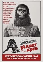 Amazon.co.jp: ポスター猿の惑星（Planet of the Apes）ゴリラの軍人