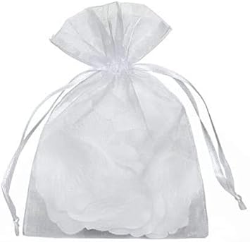 ski backpack north face