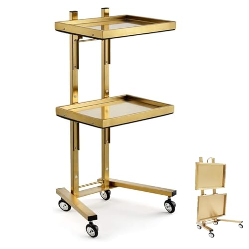 Carrito de acero inoxidable, carrito rodante de 2 niveles con 4 ruedas, carrito de salón resistente, capacidad de 66 libras, ideal para peluquería, spa, salón de belleza