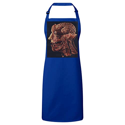 Tablier cuisine premium bleu et gravure médicale de dissection pour passionnés d'anatomie
