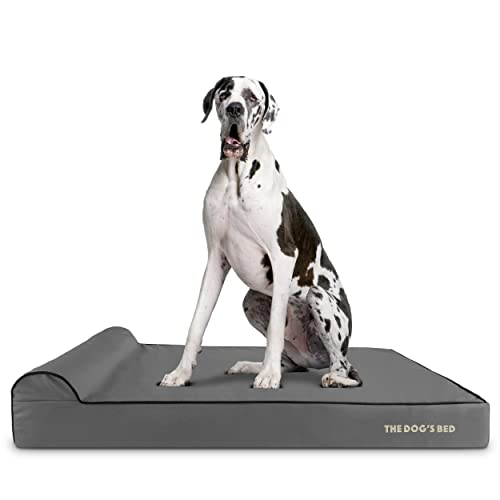 The Dog’s Bed Orthopedic Memory Foam Dog Bed with Headrest XXL 6-Inch