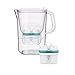 BWT Wasserfilter AQUAlizer 2,6 l weiß inkl. 2 ZINC Filterkartuschen | Immunsystem schützen mit ZINK & Bester Geschmack mit MAGNESIUM Kartuschen