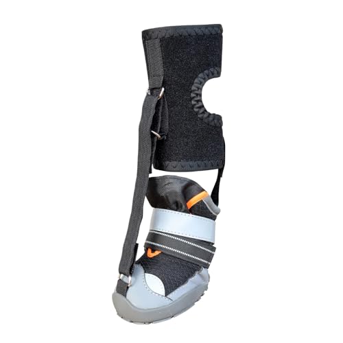 Chaussures chien antidérapantes pour éviter les blessures aux pattes