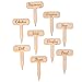 Herb Garden Markers - Set of 9 - Rustic Gardener Gift - Made in The USA - Birchwood - 2.75