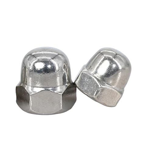 �G�C�R�[���h�[���i�b�g M3 M4 M5 M6 M8 M10 M12 M14 M16 M18 �^�J/304�X�e�����X�|/304�u���b�N�Z�p�ɂݖh�~�K�i�b�g QAICHFKS(304,M10 (5pcs))