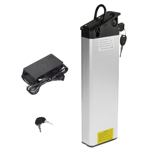 ShunTongDa Batteria al litio bici elettrica, 48 V, per pneumatici