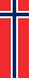 magFlags