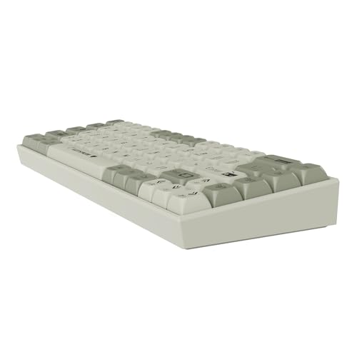 Image of AJAZZ AK680 65% Mechanical Gaming Keyboard, 3 Pin Outemu Hot-swappable switches, RGB Backlit, Gasket Mount, ABS Keycaps, Wired (Gray (Red Switch))