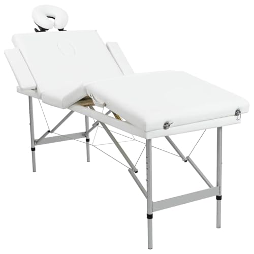 vidaXL Alu Massage Liege Bank Massagetisch Kosmetik Therapieliege Tasche 4 Zonen vidaXL Alu Massage Liege Bank Massagetisch Kosmetik Therapieliege Tasche 4 Zonen