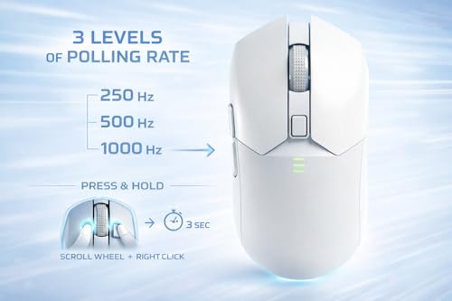 Image of Offbeat Ivy Blutooth 5.2 + 2.4Ghz Wireless Gaming Mouse | Triple Device connectivity | 5000 DPI 6D Button | 600 mAh Battery 100 Hours Playtime | Silent Click (White)