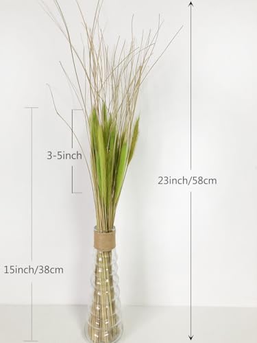 Dried Wolf Tails Grass Natural Bunny Tail Grass Lagurus Ovatus miniatura 4