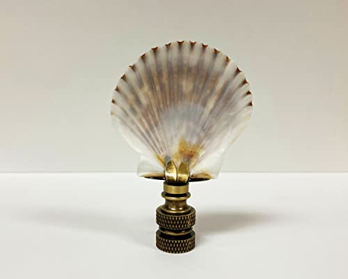 Image of Lamp Finial-SEA Scallop Shell-Natural sea Scallop Shell with Antique Brass or Polished Brass Base (1-pc.) (Polished Brass)