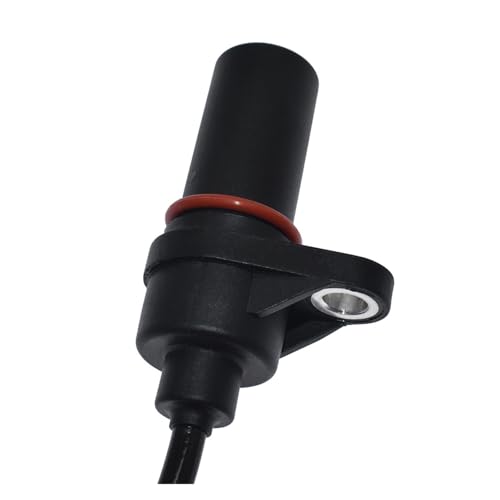 Chief Brand Products MEAT TENDERIZER 40 GM, 1.4 Ounce (Pack of 1)