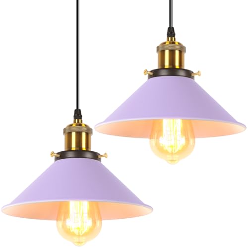 iDEGU Lot de 2 Lustres Rétro Suspension Luminaire Vintage 22CM Métal Plafonnier Abat-jour Industriel E27 Lampe de Plafond pour Salon Cuisine Chambre...