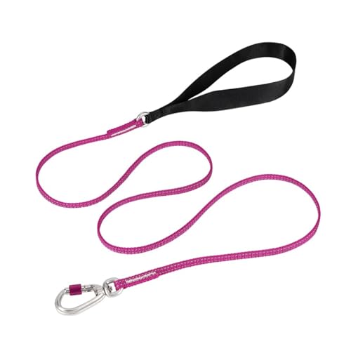 犬 リード 幅0.8cm 全長140cm 超小型犬 小型犬 中型犬 全14色 犬用 散歩用リード 丈夫 軽量 3M反射素材 シンプル カラフル テープ型 ロック付き カラビナ アルミ合金 ナイロン Truelove TLL2772 (ビートルートパープルB