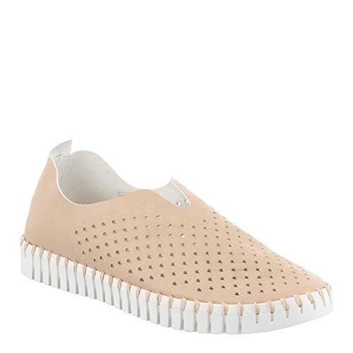 ilse jacobsen women's tulip 139 flat