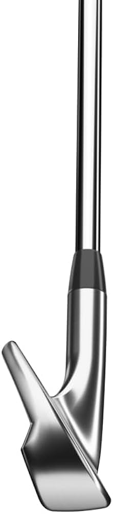 Amazon.co.jp: Titleist(タイトリスト) 2023年 T100 アイアン