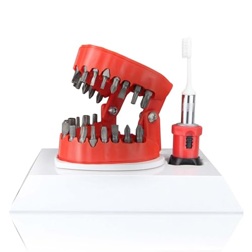 Denture Drill Bit Holder with Base Dentist Gift Mouth Bit Holder 3D Sculpture Desk Decor Teeth Bit Holder 28PCS 1/4 Hex Bit 2-in-1 Screwdriver& Desk Gadget New Version