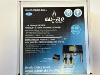 Fairview NG-OUTLET-2LBLP Dual Left Mount 2psi Gas Outlet Box with Stainless Steel Body and Globe Valve