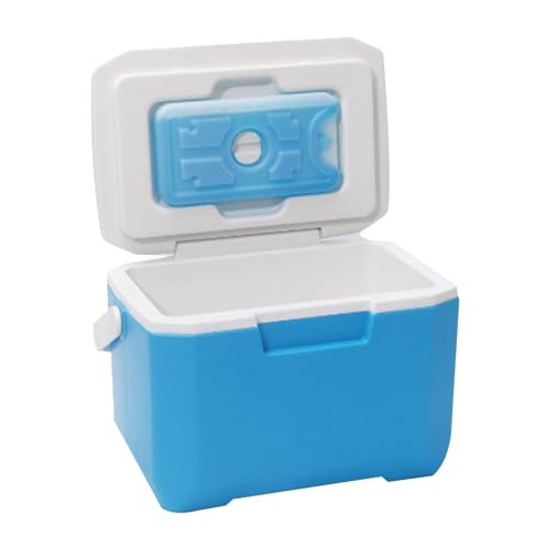 Caja enfriadora de camping de 6 L, portátil para viajes, pequeña nevera con asa de transporte resistente, caja térmica de viaje con 1 caja de bolsa de hielo, cajas de hielo para camping, senderismo,
