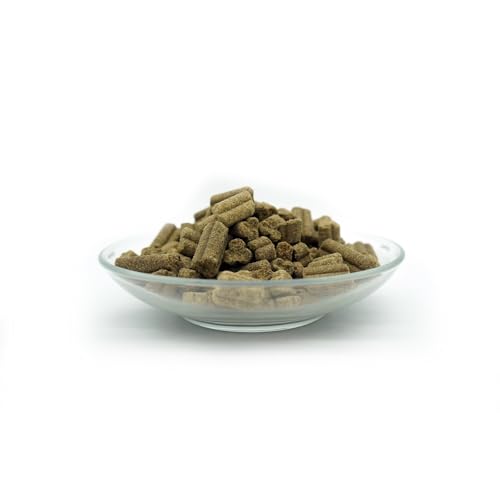 Bellfor Forstbach-Schmaus Kaltgepresstes Trockenfutter mit Lachs und Forelle Getreidefrei Reich an Natürlichen Vitaminen, Mineralien (Spurenelemente) und Antioxidantien (10 kg)