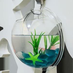 GlobalNiche? Mini Wall Hanging Fish Tank Decorative Aquarium Transparent Round Plant Fish Pot