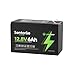 SENTORISE 12V 6Ah LiFePO4 Lithium Battery, 3000+ Deep Cycles Batteries for Power Wheel, Kids Ride on Toys, Fish Finder