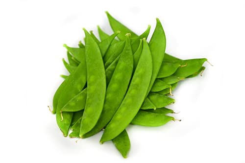 Gaea's Blessing Seeds - Snow Pea Seeds - Dwarf Sugar Grey - Non-Gmo Seeds For Planting With Easy To Follow Instructions 94% Germination Rate (Pack Of 1) #TOP5