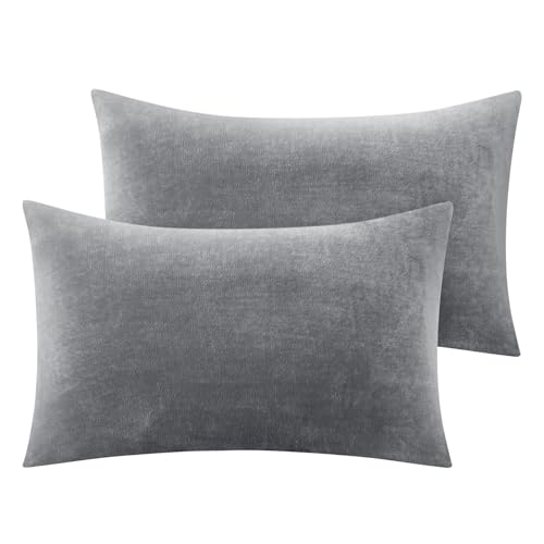 BEDELITE Flannel King Size Pillow Cases Set of 2 Super Soft Fleece Pillowcases with Zipper for Bedroom Sofa Couch Luxury Cozy Fuzzy Velvet Pillow Shams for All Seasons(20x36 Inches Gray)