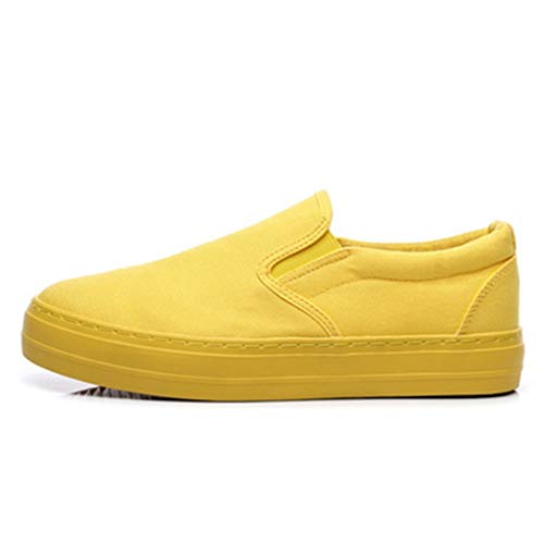 Xb| Xj[J[ fB[X   Xb| tbgV[Y CG[ l JWA fbLV[Y LoX Xj[J[ x[VbN [Jbg n Xj[J[ h  傫TCY 23.5cm ₷ ɂȂ