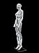 Female Chrome Mannequin - Female Full Body Chrome Mannequin w/Removable Head (#PS-SF6SCEG)