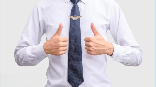 Image of Generic 2PC Brooch Pins for Women, Pilot Wings Pin, Gold, Classic Style, Unisex, 6.5g